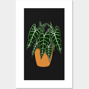 Alocasia Polly Illustration | Plant in a pot Posters and Art